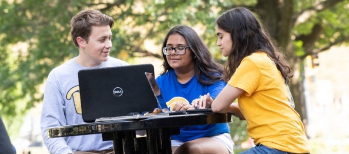 Students working on laptops outside