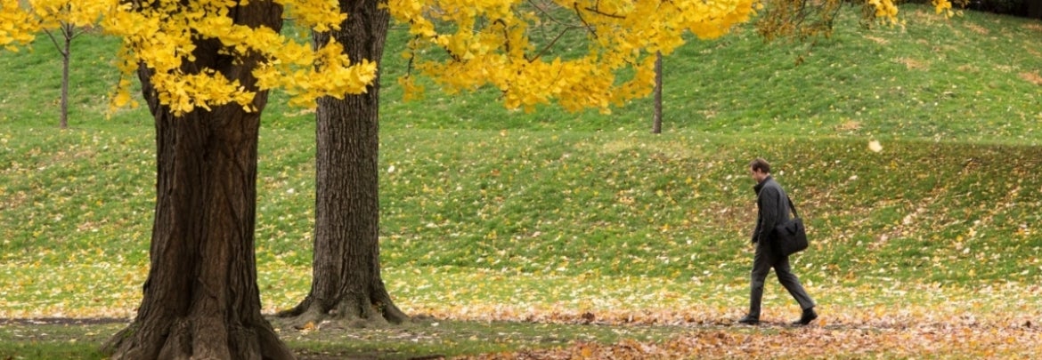 Person walking by trees